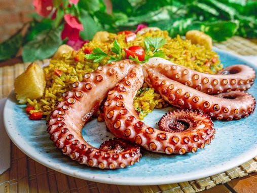 O polvo, iguaria milenar presente nas culinárias mediterrânea e asiática, ganha versões criativas e cheias de identidade na cozinha brasileira.